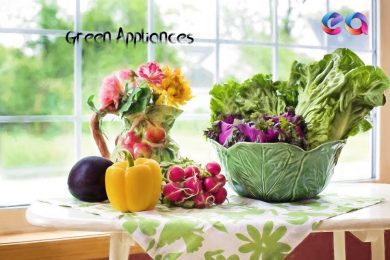Kitchen decor