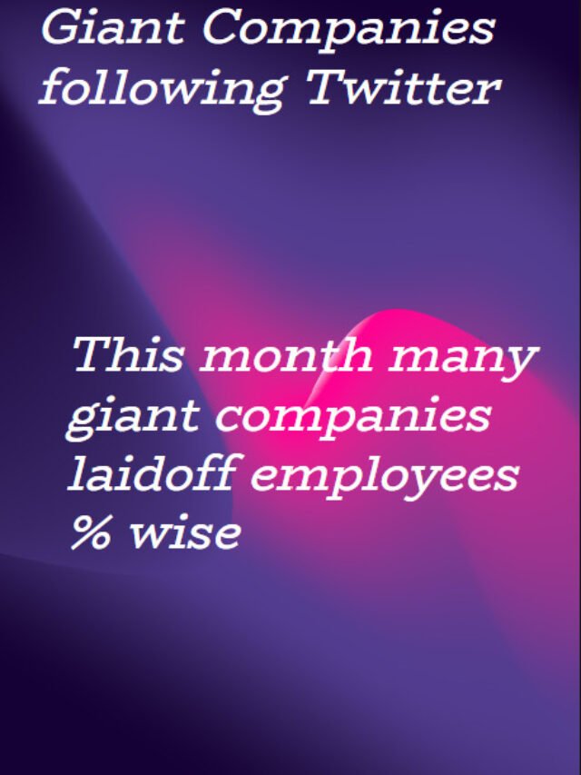 Layoffs world wide after twitter layoffs