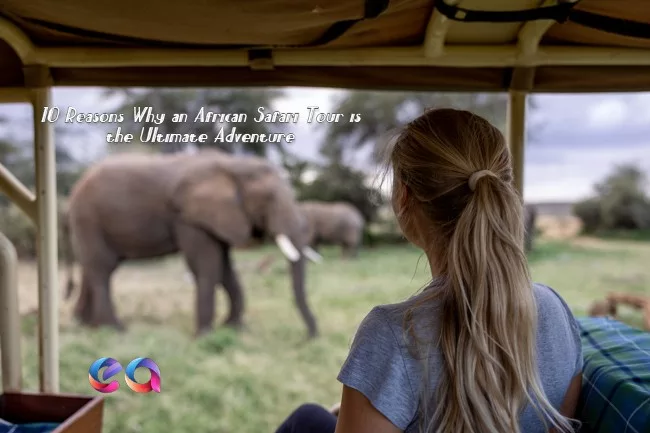 african safari tour