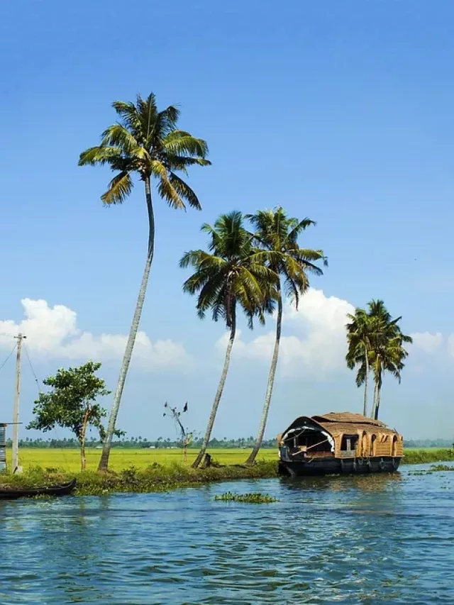 Discover Kerala: One of the Top 52 Must-Visit Destinations for 2023