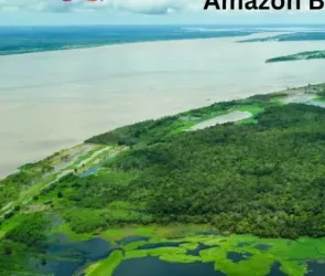 Best jungle adventures