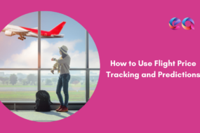 How to Use Flight Price Tracking and Predictions