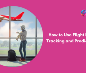 How to Use Flight Price Tracking and Predictions