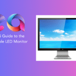 Portable LED Monitor