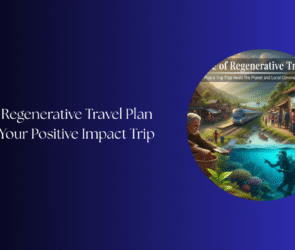 regenerative travel plan your positive impact trip